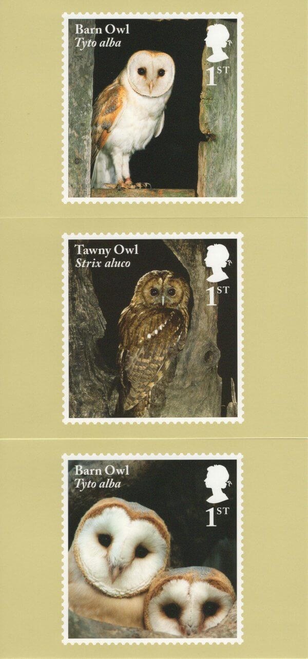 Owls Stamp Cards Back image 1