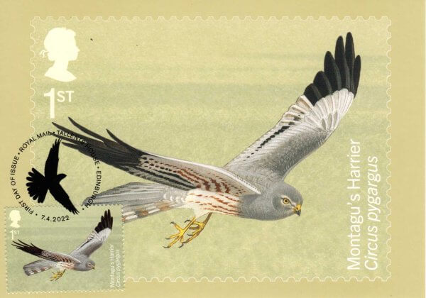 Migratory Birds Stamp Cards Back